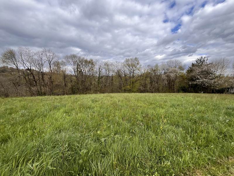 Vente Terrain STE FEREOLE - -2452 m² - (19270)