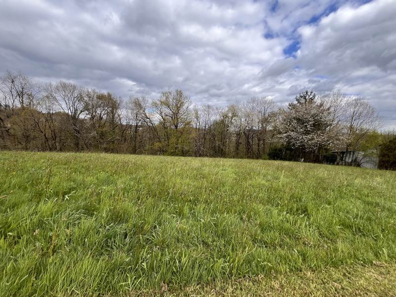 Vente Terrain STE FEREOLE - -2099 m² - (19270)