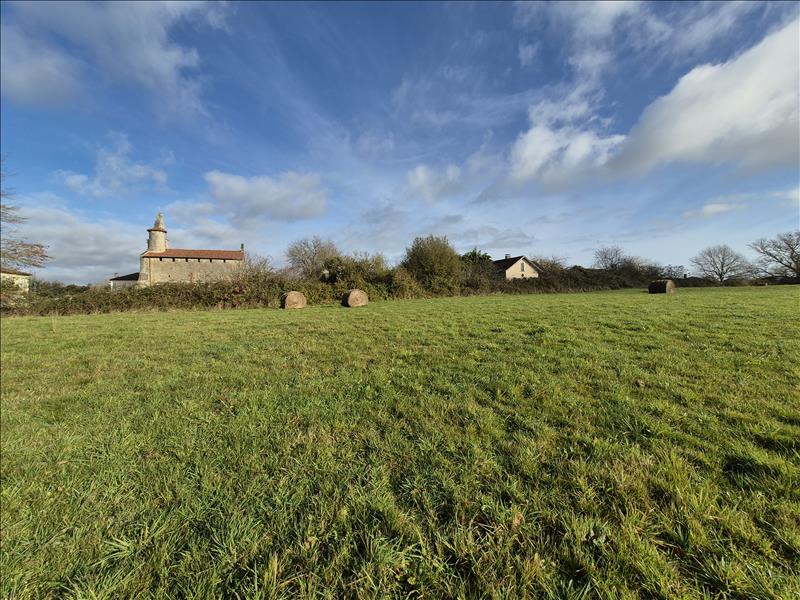 Vente Terrain BASCONS - -1456 m² - (40090)