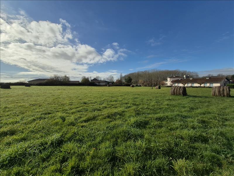 Vente Terrain BASCONS - -1456 m² - (40090)