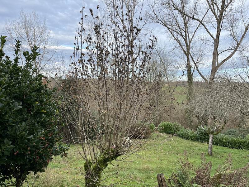 Vente Maison ST CRICQ VILLENEUVE - 4 pièces -80 m² - (40190)