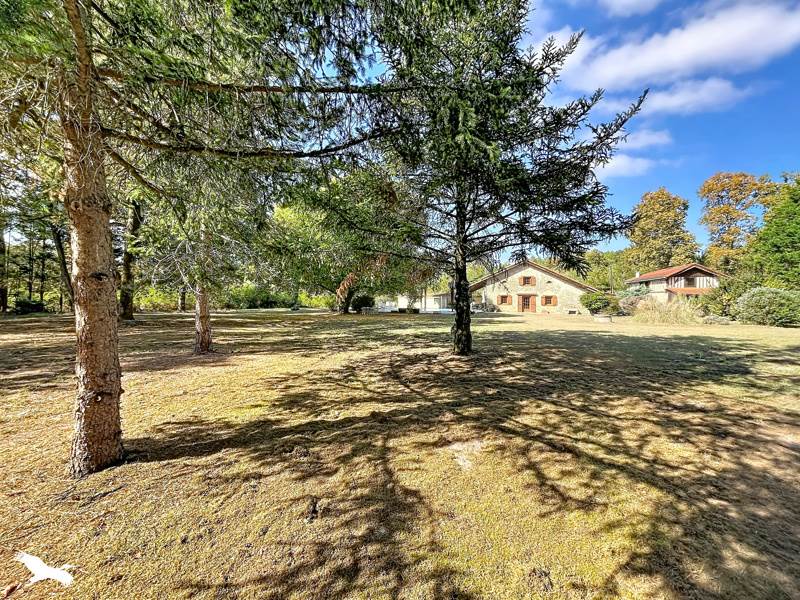 Vente Maison Saint-Cricq-Villeneuve - 6 pièces -183 m² - (40190)