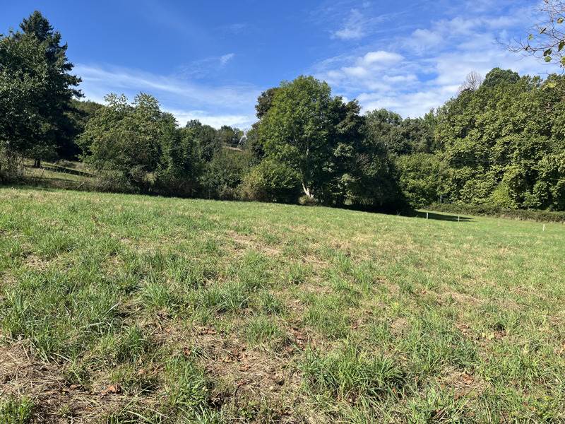 Vente Terrain SIRADAN - -1850 m² - (65370)