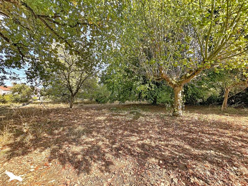 Vente Maison Lamothe-Montravel - 3 pièces -70 m² - (24230)