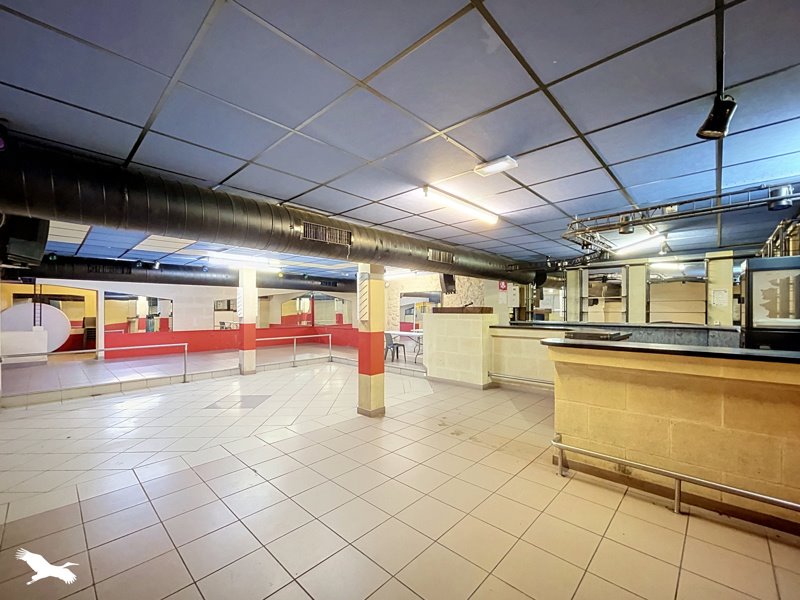 Vente Maison Castillon-la-Bataille - 6 pièces -615 m² - (33350)