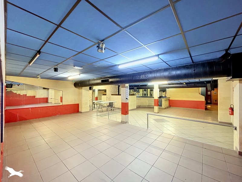 Vente Maison Castillon-la-Bataille - 6 pièces -615 m² - (33350)