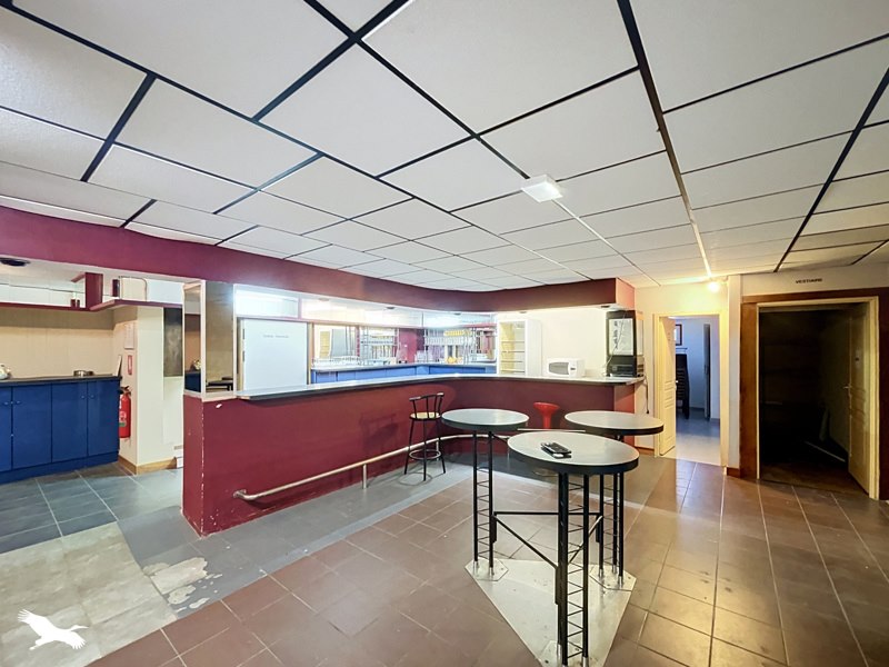 Vente Maison Castillon-la-Bataille - 6 pièces -615 m² - (33350)