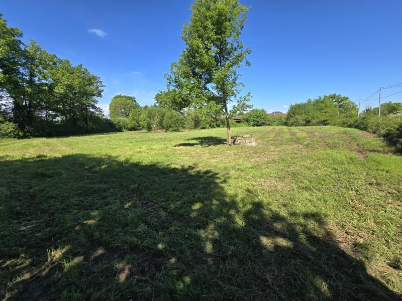 Vente Terrain GLENIC - -6065 m² - (23380)