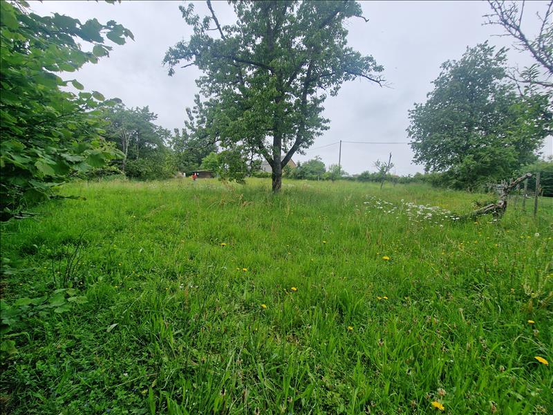 Vente Terrain ANZEME - -2021 m² - (23000)