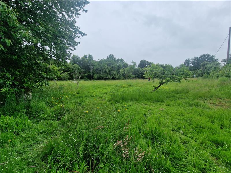 Vente Terrain ANZEME - -2021 m² - (23000)