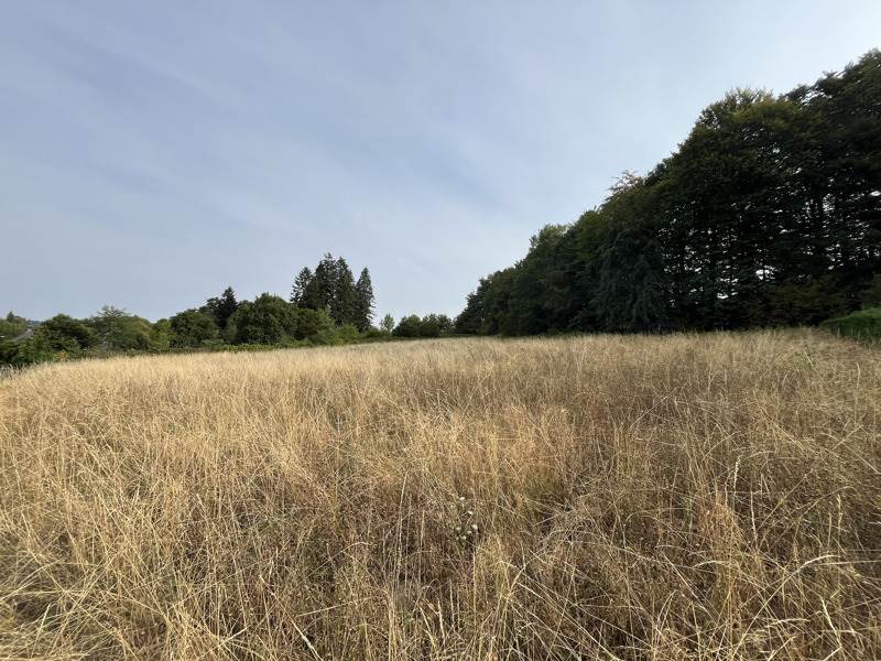 Vente Terrain SAVENNES - -2803 m² - (23000)