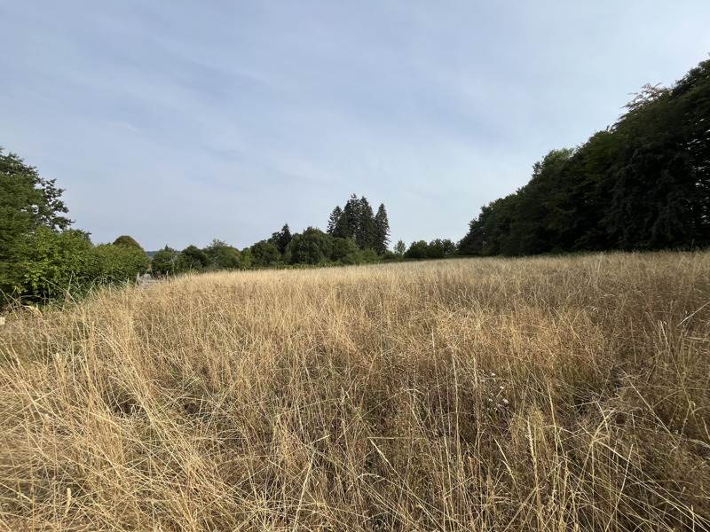 Vente Terrain SAVENNES - -2977 m² - (23000)