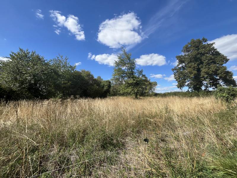 Terrain 1504 m² · à Jouillat · 17 000 €