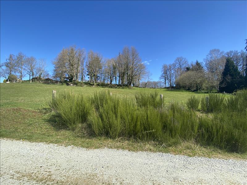 Vente Terrain SOUS PARSAT - -3300 m² - (23150)