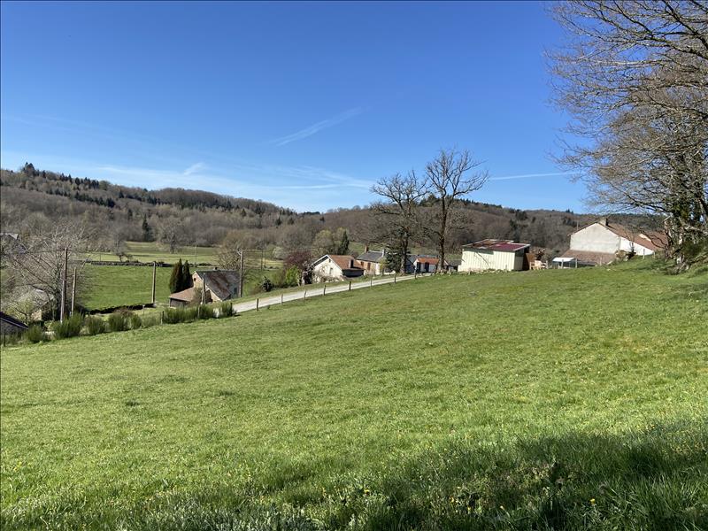 Vente Terrain SOUS PARSAT - -3300 m² - (23150)