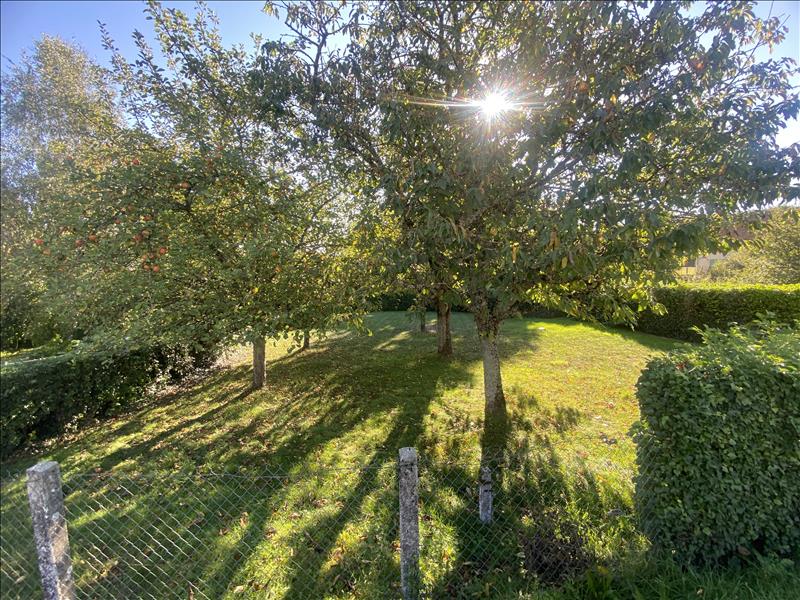 Vente Maison MONTAIGUT LE BLANC - 7 pièces -221 m² - (23320)