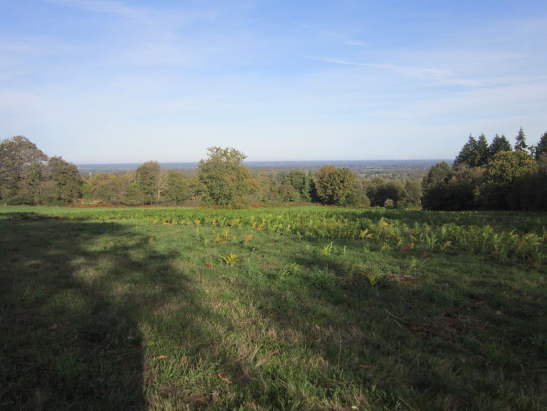 Vente Terrain MONTROL SENARD - -24890 m² - (87330)