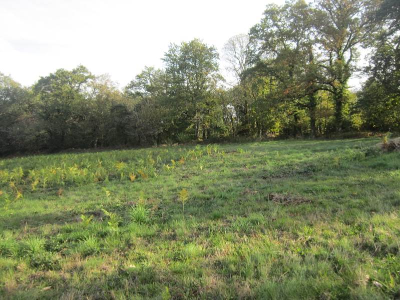 Vente Terrain MONTROL SENARD - -24890 m² - (87330)