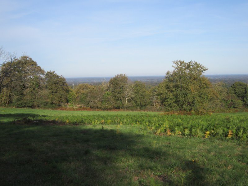 Vente Terrain MONTROL SENARD - -24890 m² - (87330)