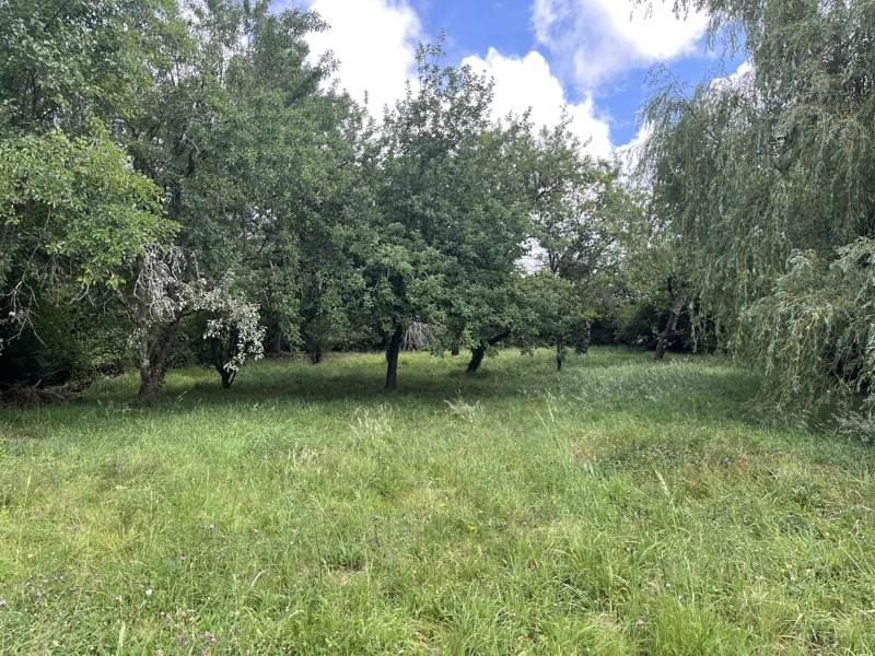 Vente Terrain BELLAC - -1550 m² - (87300)