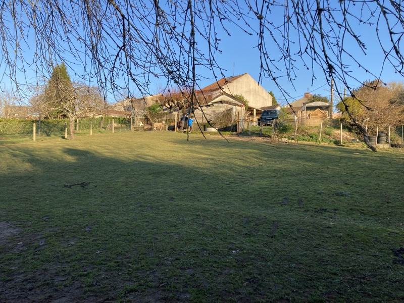 Vente Maison LE DORAT - 4 pièces -89 m² - (87210)