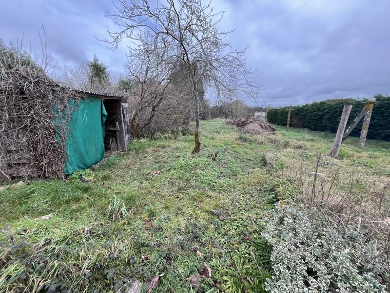 Vente Maison LE DORAT - 5 pièces -111 m² - (87210)