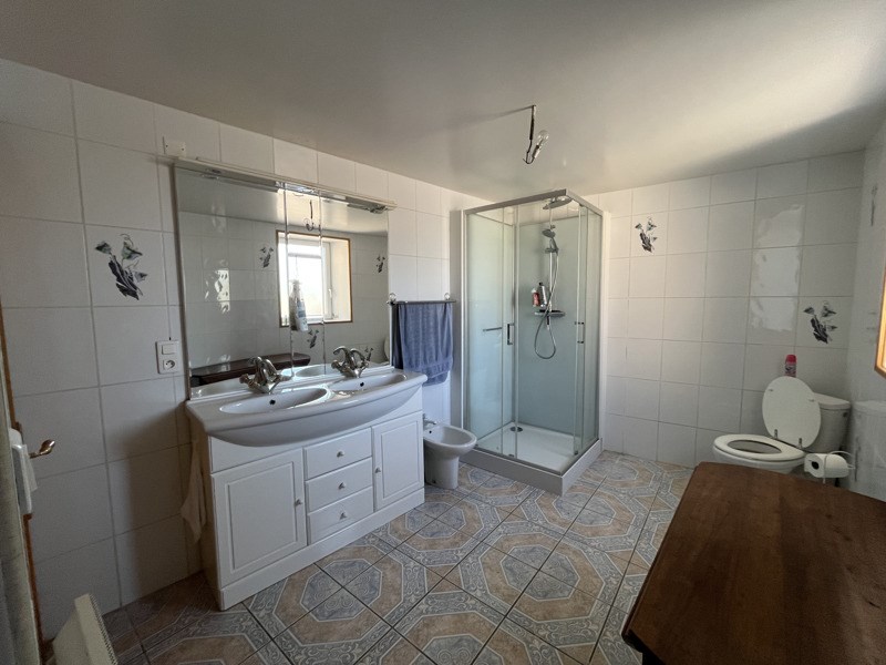 Vente Maison PEYRAT DE BELLAC - 9 pièces -179 m² - (87300)