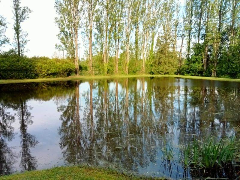 Vente Terrain GIEVRES - -20271 m² - (41130)