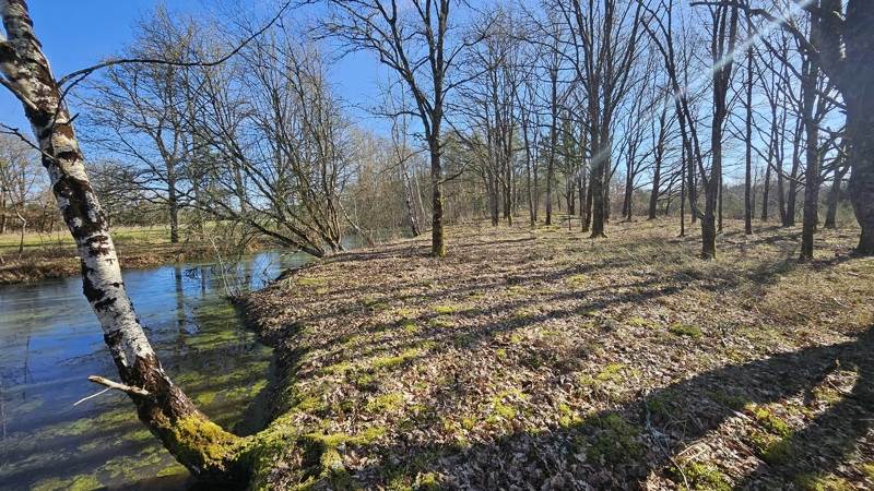 Vente Terrain ROMORANTIN LANTHENAY - -7220 m² - (41200)