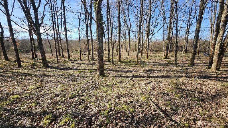 Vente Terrain ROMORANTIN LANTHENAY - -7220 m² - (41200)