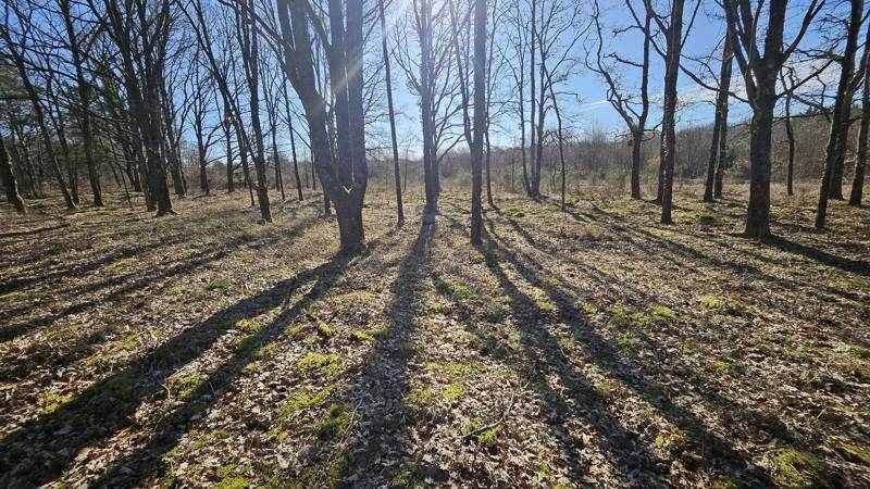 Vente Terrain ROMORANTIN LANTHENAY - -7220 m² - (41200)