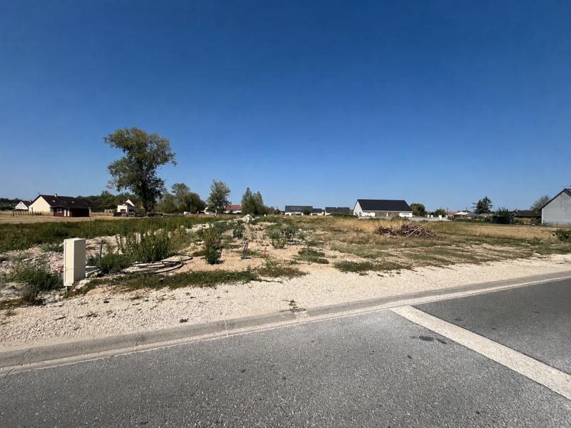 Vente Terrain PRUNIERS EN SOLOGNE - -726 m² - (41200)