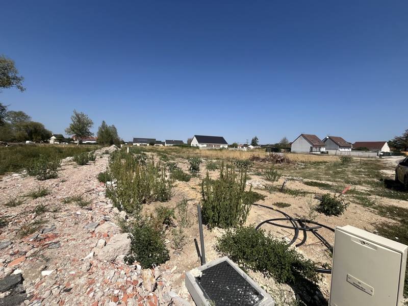Vente Terrain PRUNIERS EN SOLOGNE - -726 m² - (41200)