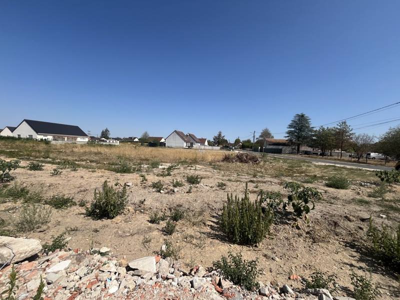 Vente Terrain PRUNIERS EN SOLOGNE - -726 m² - (41200)