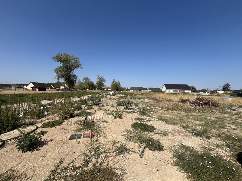 Vente Terrain PRUNIERS EN SOLOGNE - -726 m² - (41200)