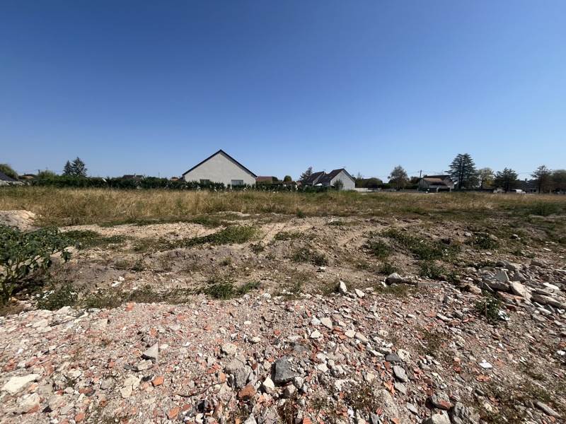 Vente Terrain PRUNIERS EN SOLOGNE 41200  719 m²