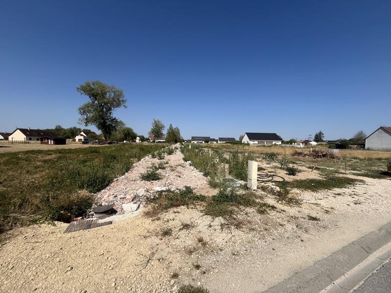 Vente Terrain PRUNIERS EN SOLOGNE - -719 m² - (41200)