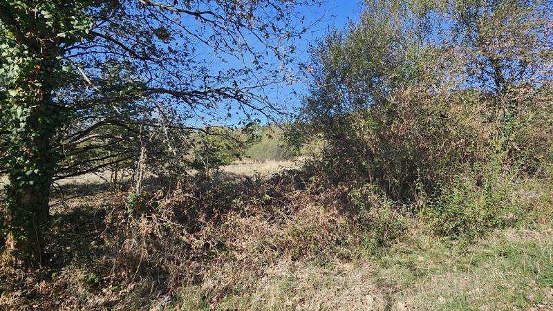 Vente Terrain Villefranche-sur-Cher - -22882 m² - (41200)