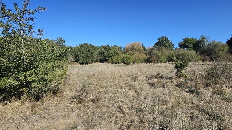 Vente Terrain Villefranche-sur-Cher - -22882 m² - (41200)