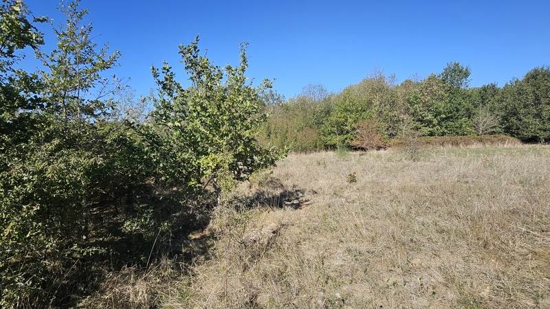 Vente Terrain Villefranche-sur-Cher - -22882 m² - (41200)