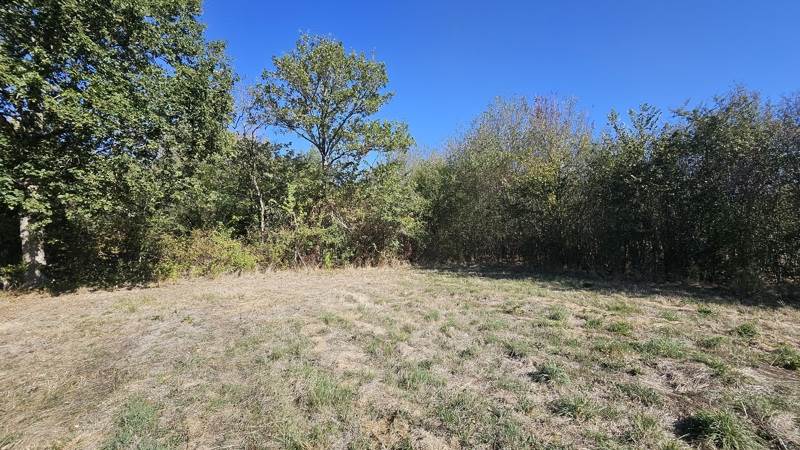 Vente Terrain Villefranche-sur-Cher - -22882 m² - (41200)