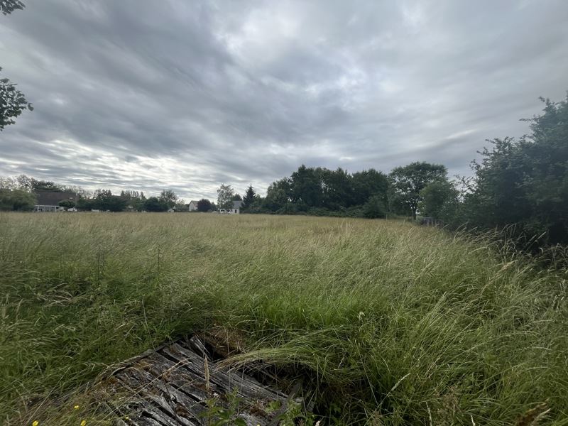 Vente Terrain Romorantin-Lanthenay - -4659 m² - (41200)