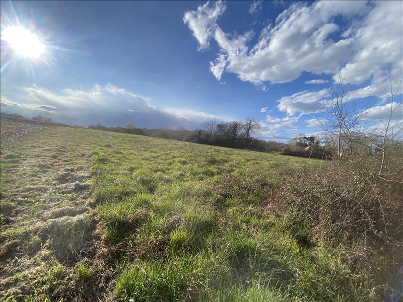 Vente Terrain LAA MONDRANS - -2085 m² - (64300)