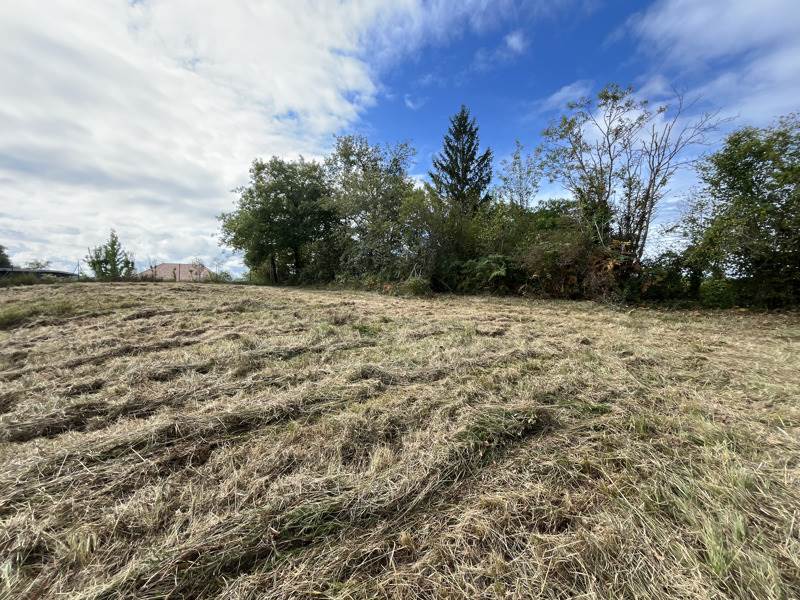 Vente Terrain LOUBIENG - -2000 m² - (64300)