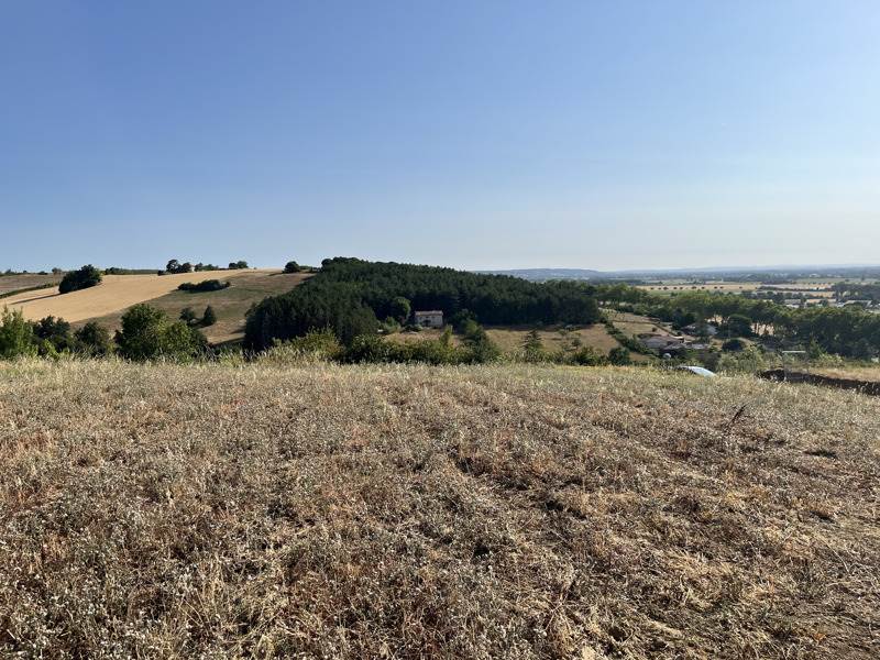 Vente Terrain RABASTENS - -702 m² - (81800)