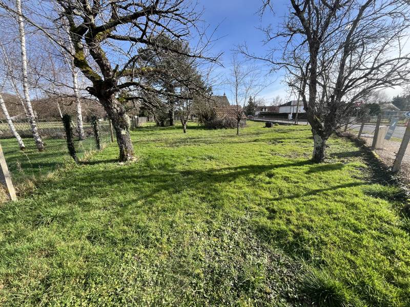 Vente Terrain MEREAU - -1154 m² - (18120)