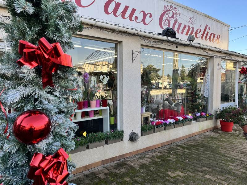 Vente Immeuble VIERZON - -  315 m² - (18100)