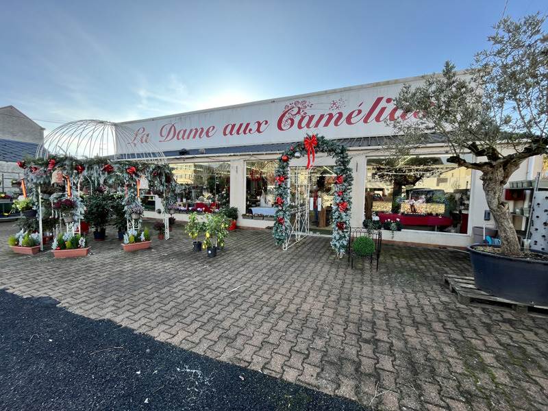 Vente Immeuble VIERZON - -  315 m² - (18100)