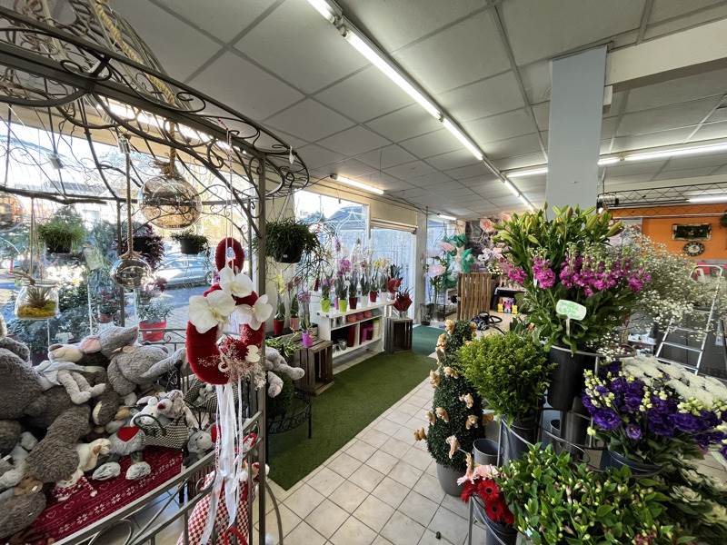 Vente Immeuble VIERZON - -  315 m² - (18100)