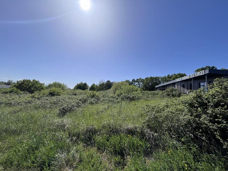 Vente Terrain VIERZON - -3125 m² - (18100)